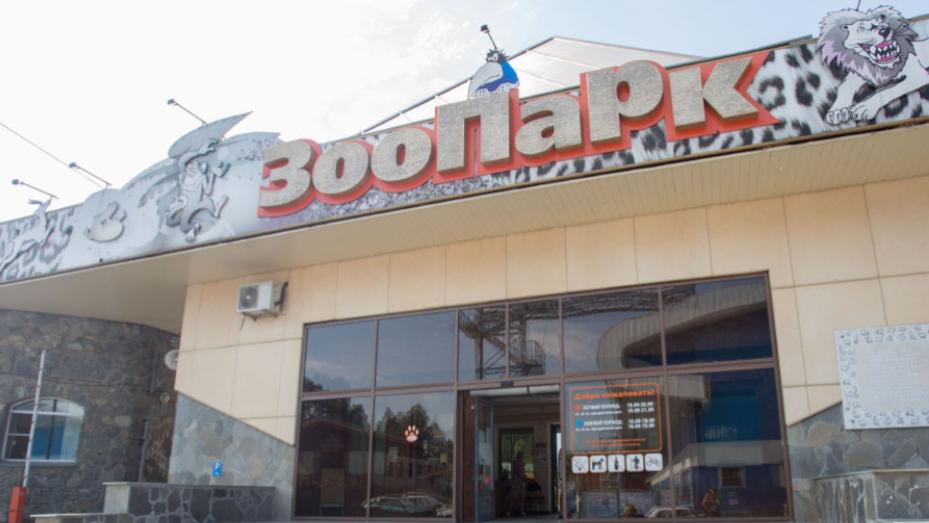 Зоопарк Челябинска переходит на летнее время работы
