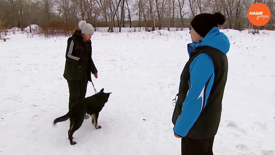 Пушистое утро