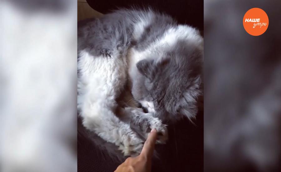 Обзор интернета за 11 января