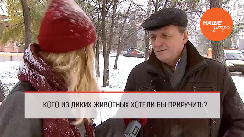 Кого из диких животных вы бы хотели приручить