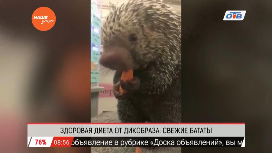 Обзор интернета за 2 февраля 