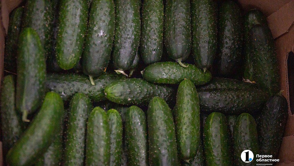 В Челябинской области больше всего снизились цены на огурцы