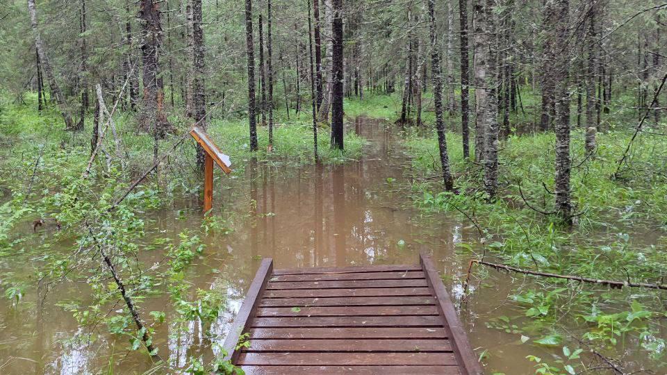 Туристические тропы затопило в нацпарках Челябинской области после дождей