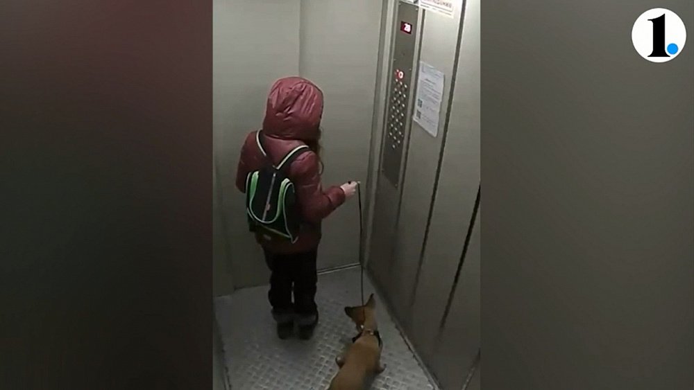 Суд отказался лишать прав маму девочки, сбросившей собаку с 20‑го этажа в Челябинске