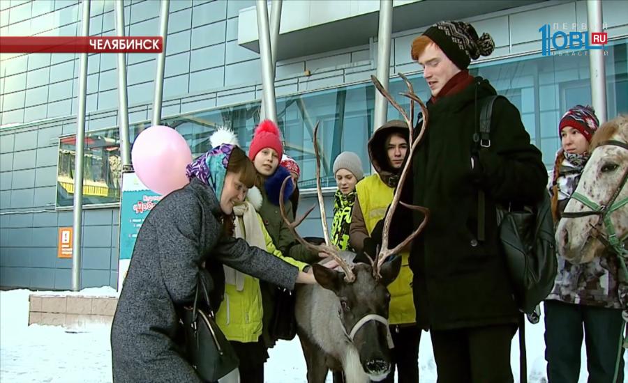  В Челябинске состоялась ярмарка благотворительных организаций