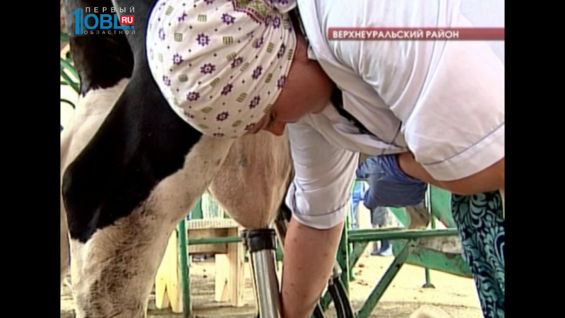 Лучшего оператора машинного доения выбирают среди 30 конкурсантов 