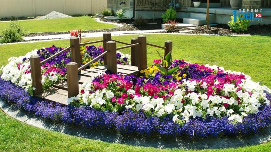 Уютный дом. Тележурнал №104 от 19.03.2017