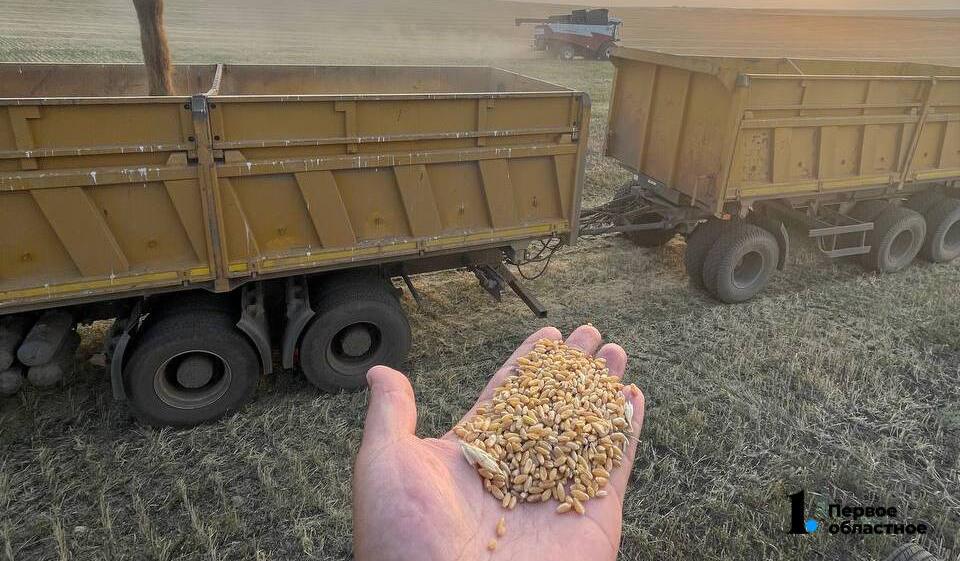 Челябинская область попала в программу формирования госфонда продовольственного зерна