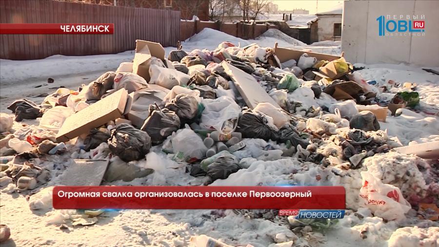 Огромная свалка организовалась в поселке Первоозерный