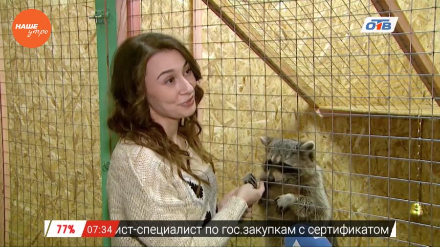 Наше УТРО на ОТВ – пушистое утро об игрушках енота