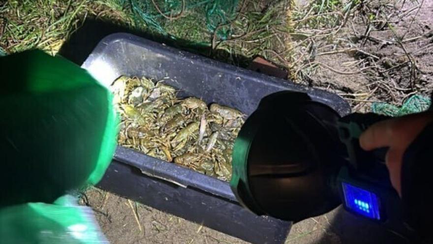 Челябинец незаконно выловил из озера Смолино 245 раков