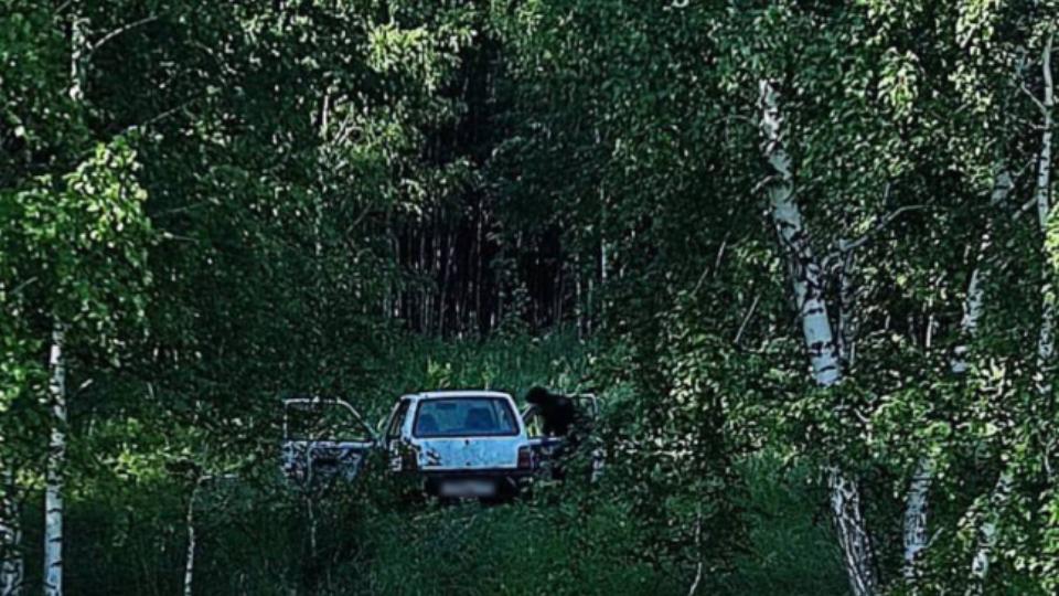 В Челябинской области задержали четырех подозреваемых в угоне авто