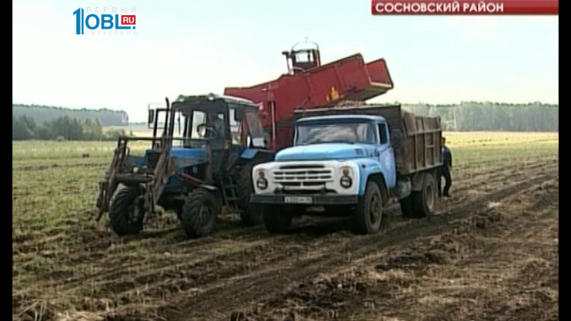 Местный фермер обеспечит местные школы овощами на весь учебный год