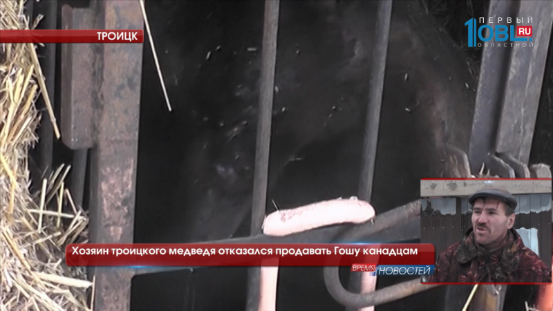Хозяин троицкого медведя отказался продавать Гошу канадцам