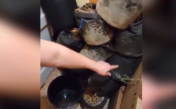 В Челябинской области накрыли нарколаборатории с 160 кг конопли