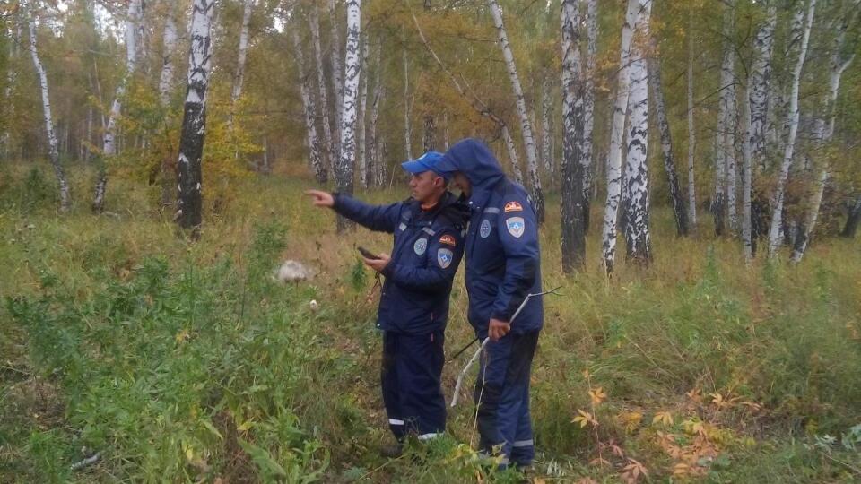 Миасские спасатели вывели из леса заблудившегося грибника