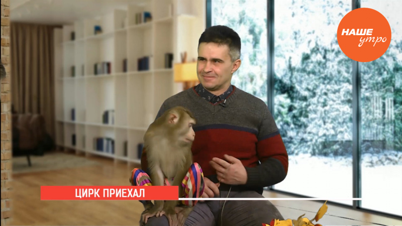 Цирк приехал