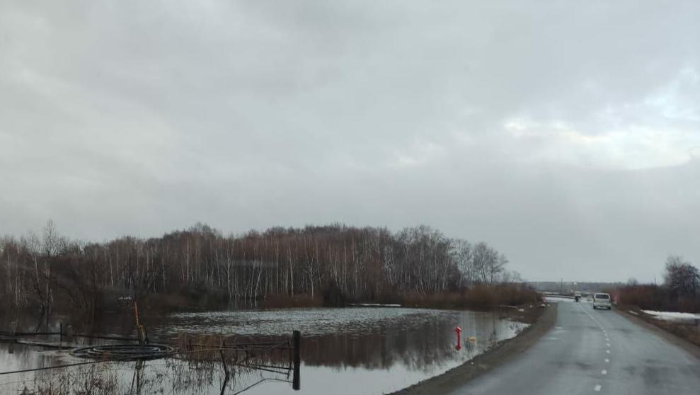 В Челябинской области похолодает и пойдет снег