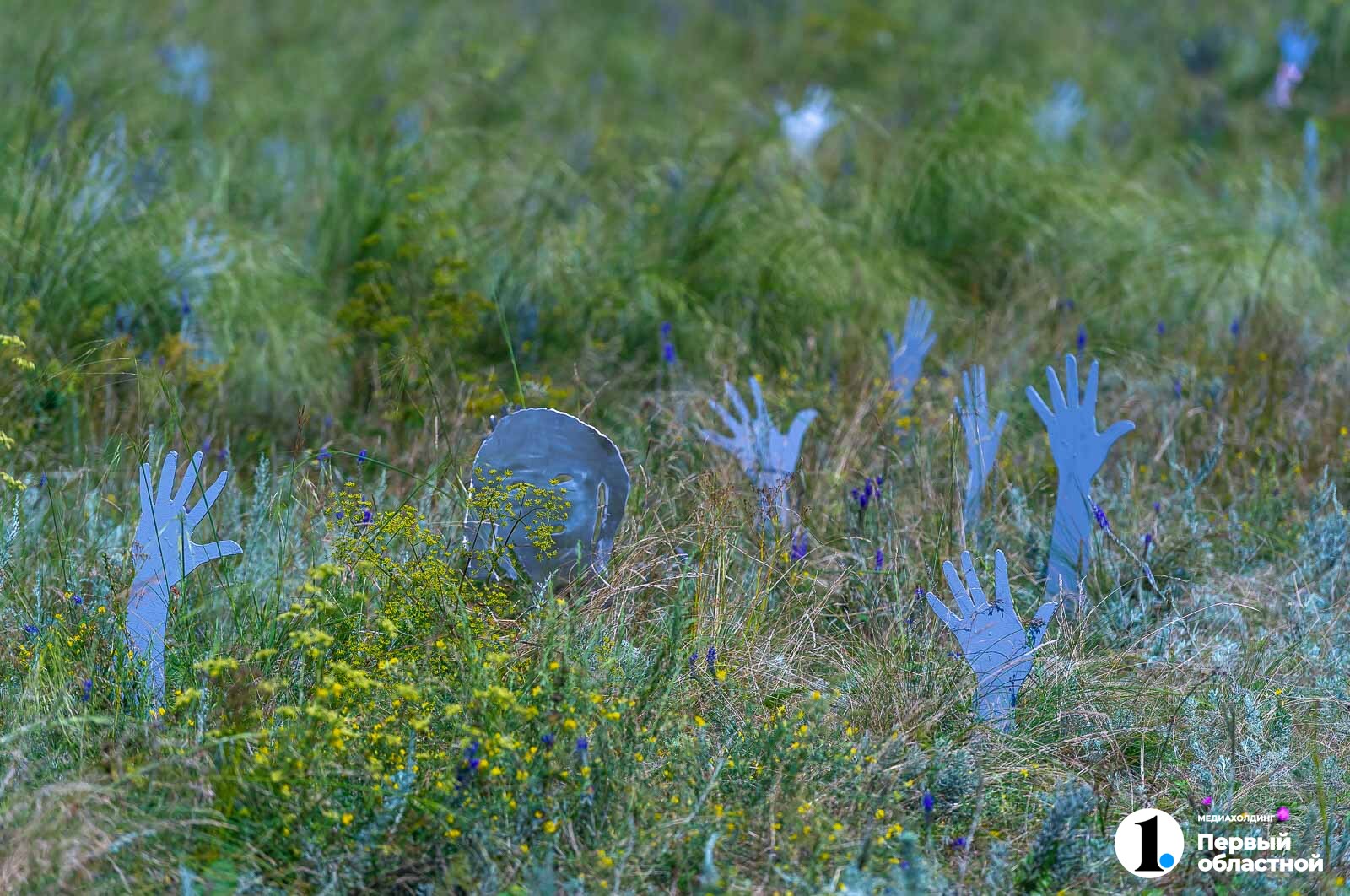 DSC_9692.jpg