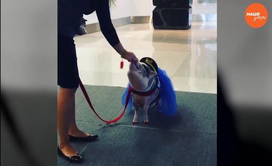 Обзор интернета за 9 декабря