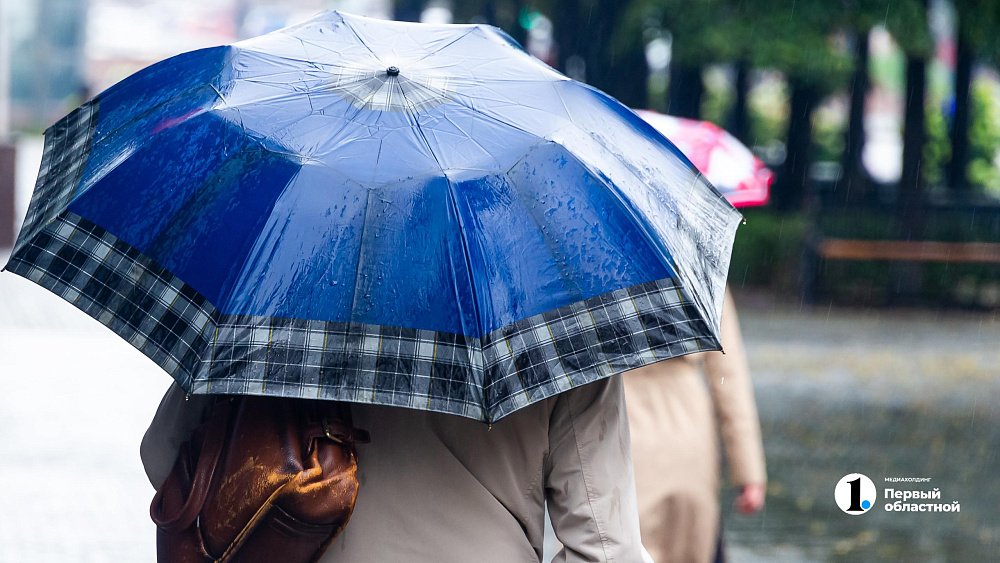Смешанные осадки и сильный ветер ожидают южноуральцев 26 апреля