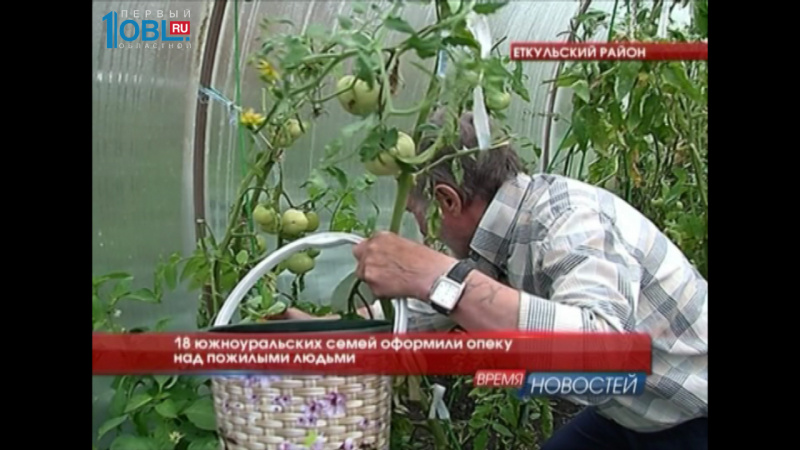 18 южноуральских семей оформили опеку над пожилыми людьми