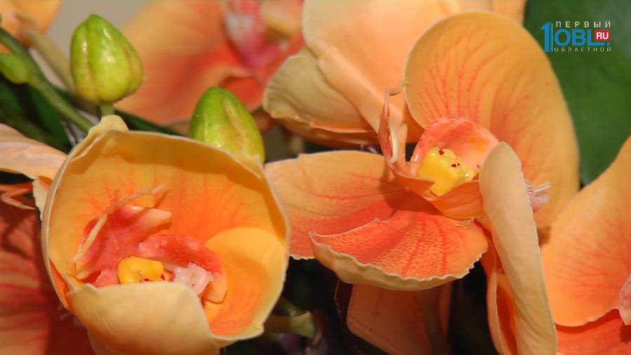 Искусственные цветы заменяют живые растения