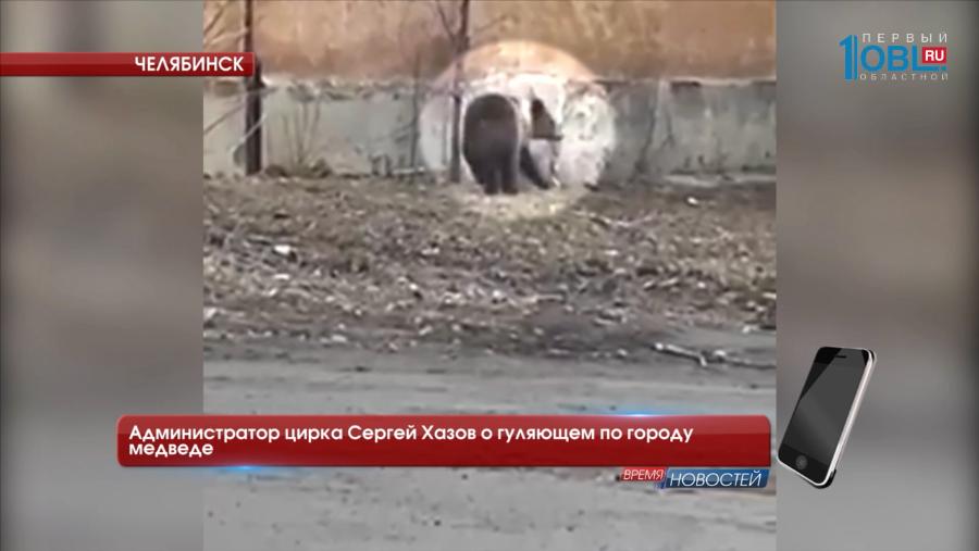 Администратор цирка Сергей Хазов о гуляющем по городу медведе