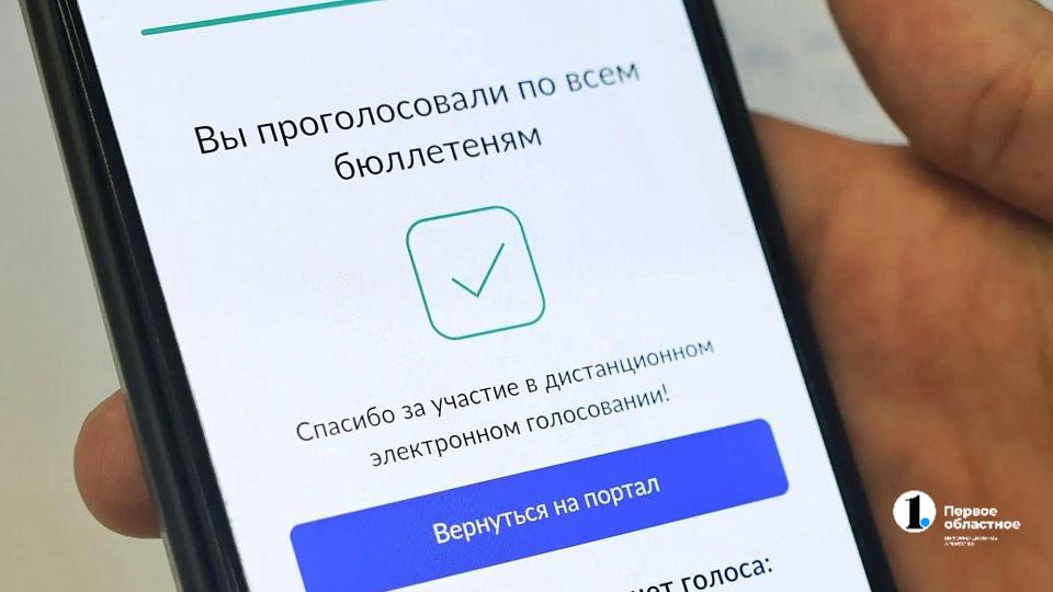 На выборах в Госдуму электронно проголосовали 70% южноуральцев, выбравших ДЭГ
