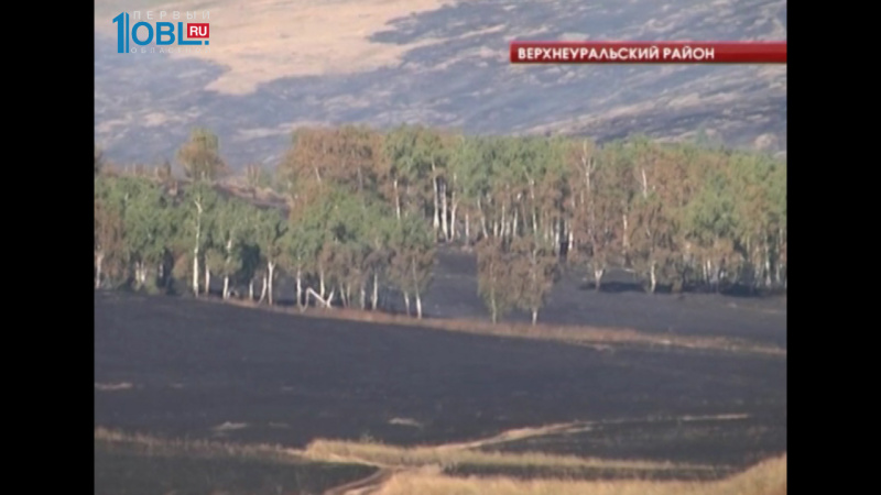 За минувшие сутки в регионе сгорело около 15 гектаров леса