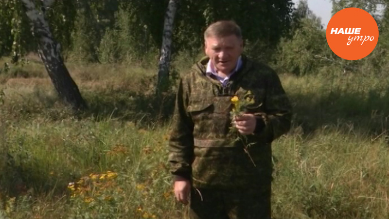 Где применяется трава  пижма