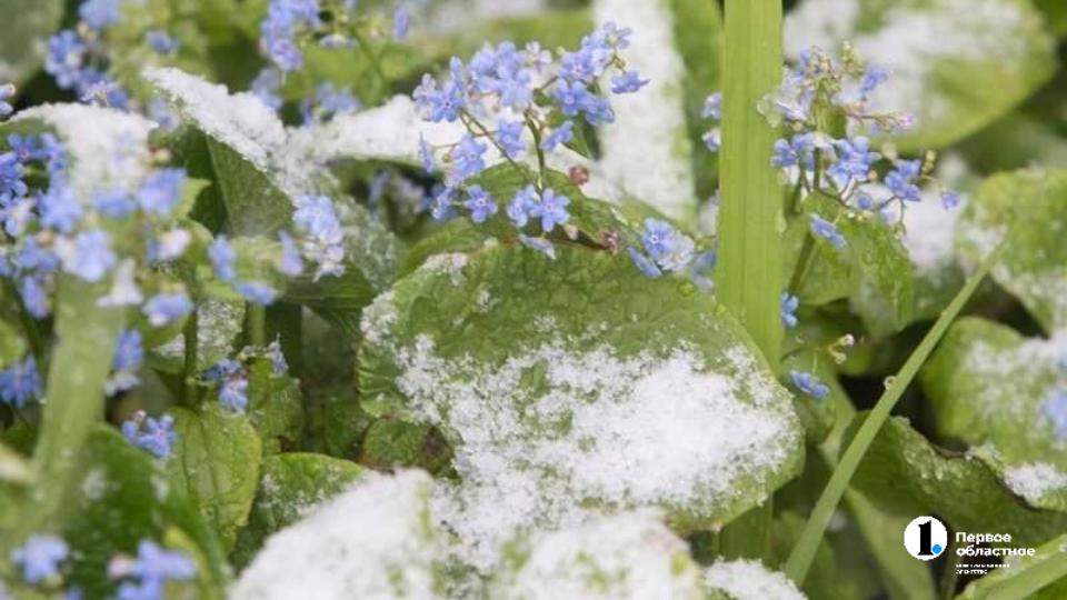Дождь со снегом и минусовую температуру прогнозируют в Челябинской области на этой неделе