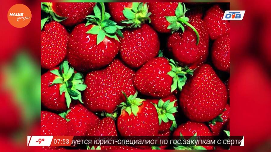 Наше УТРО на ОТВ – знахарь