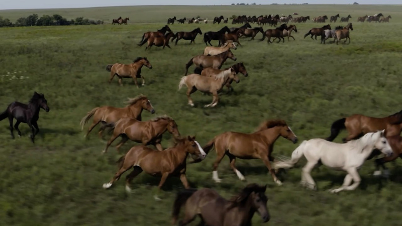 В программе «Уралым» расскажут о том, как в Кыштыме юрту превратили в медпункт