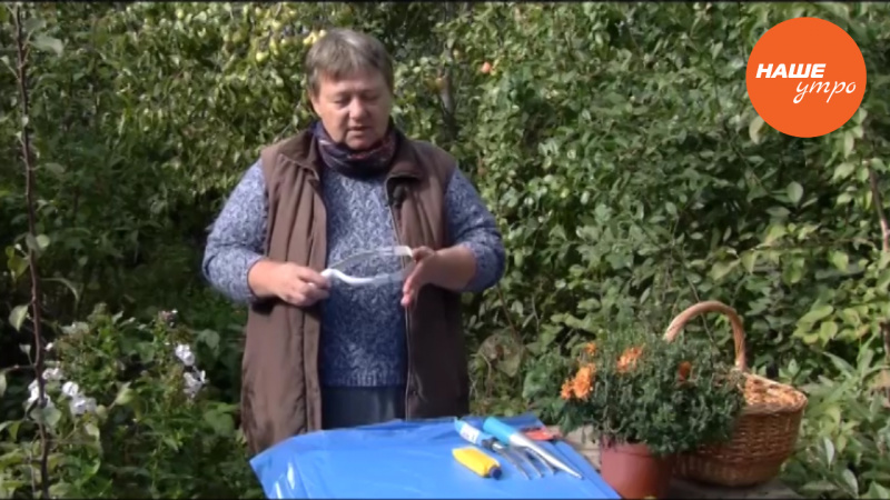 Ревизия садового инвентаря