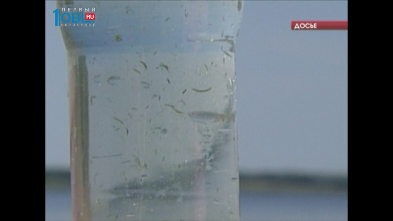 По факту загрязнения воды в Южноуральске возбуждено уголовное дело