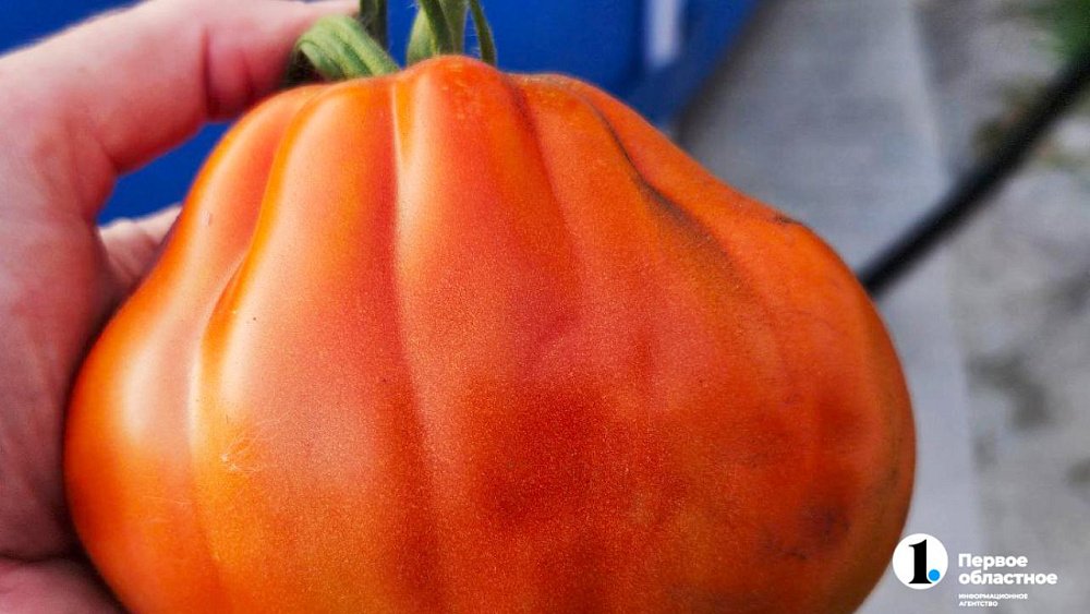 Из каких продуктов эффективнее получать витамин C