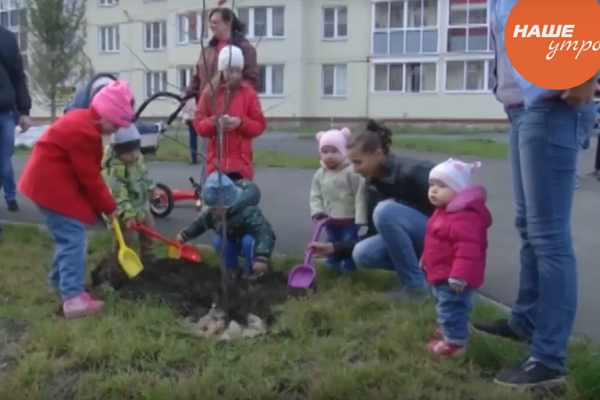 Озеленение Чурилово