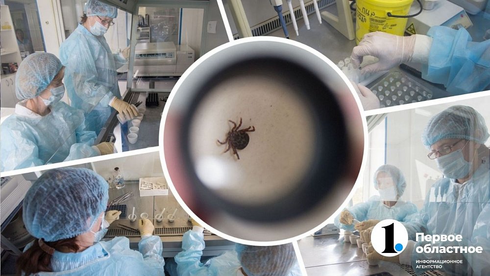 От укусов клещей с начала сезона пострадали более 2,7 тысячи южноуральцев