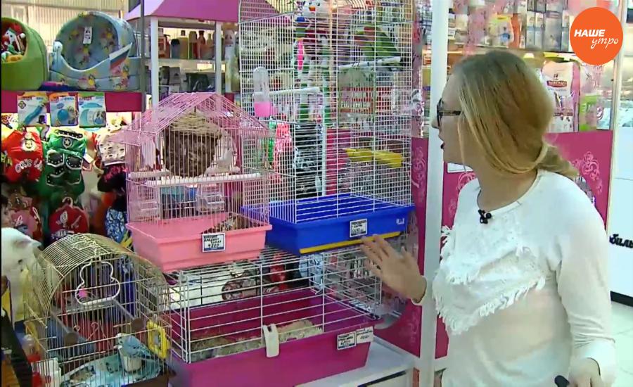 Готовы ли вы взять ипотеку