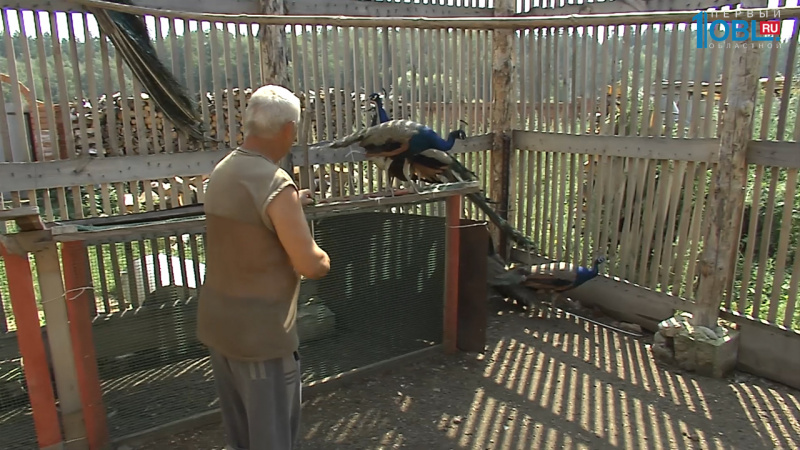 Моя деревня.Верхняя Санарка