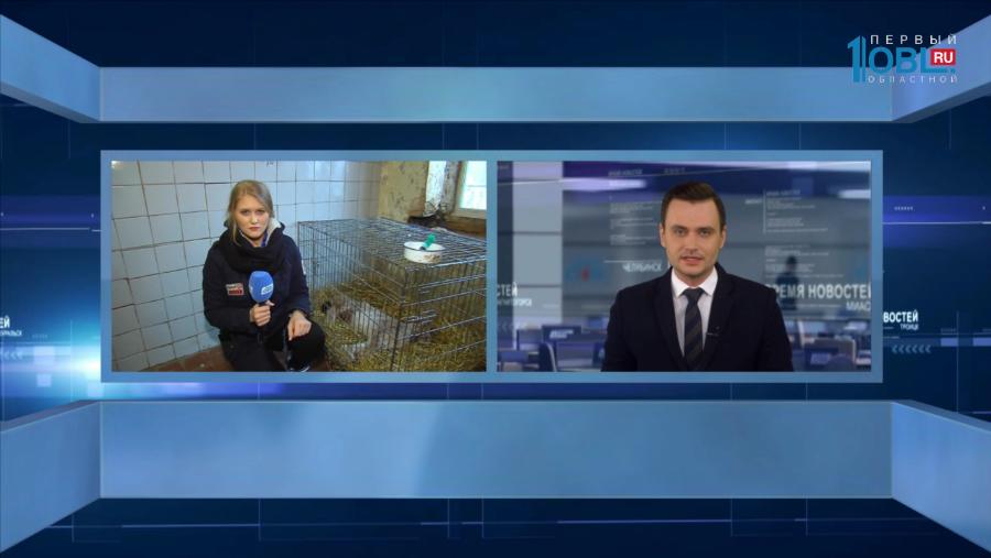 Меньше часа назад прооперировали рысь Марысю