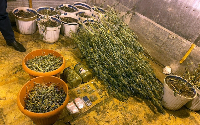 В Челябинске у мужчины нашли три килограмма марихуаны