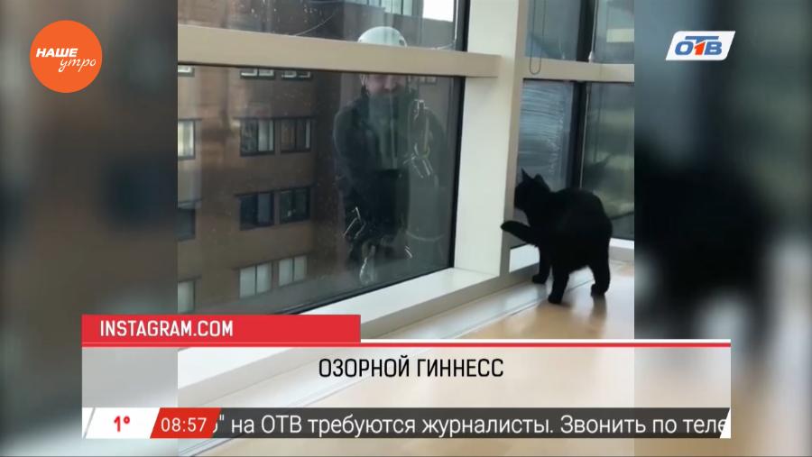 Наше УТРО на ОТВ – обзор интернета 21 февраля 2017 г.