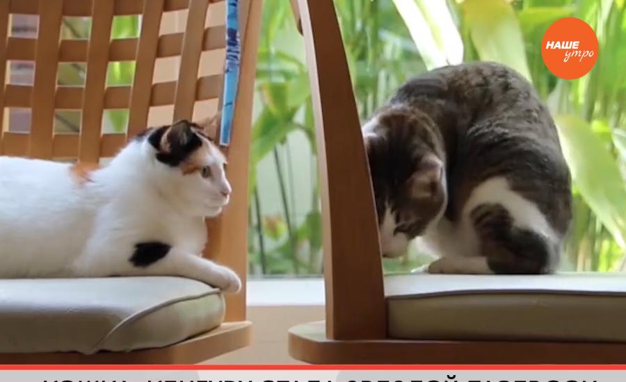 Обзор интернета за 29 декабря