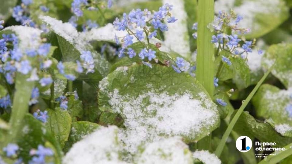 Похолодание до +3 градусов и дождь со снегом ожидаются в Челябинской области
