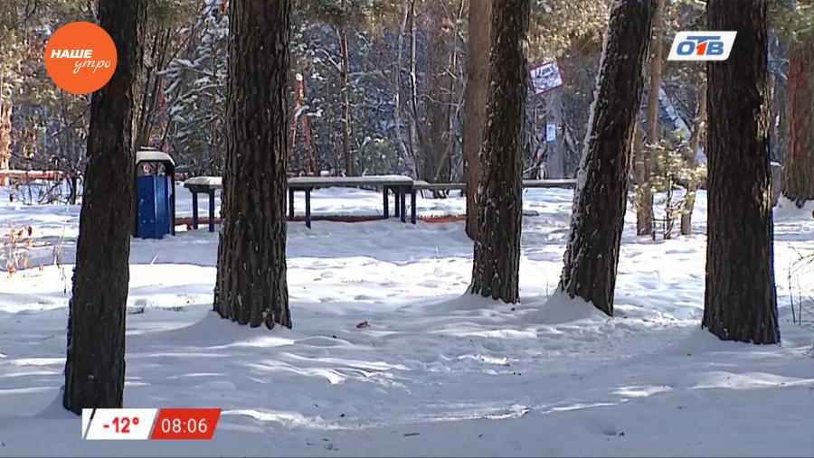 Вытоптанные лужайки и мёртвые деревья