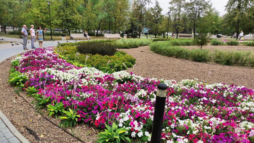 В Челябинске эксперты назвали основные ошибки при озеленении города