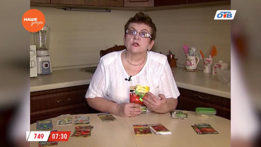 Садовые истории – какой помидор посадить