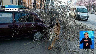 Сильный ветер в регионе снес крыши и повалил деревья